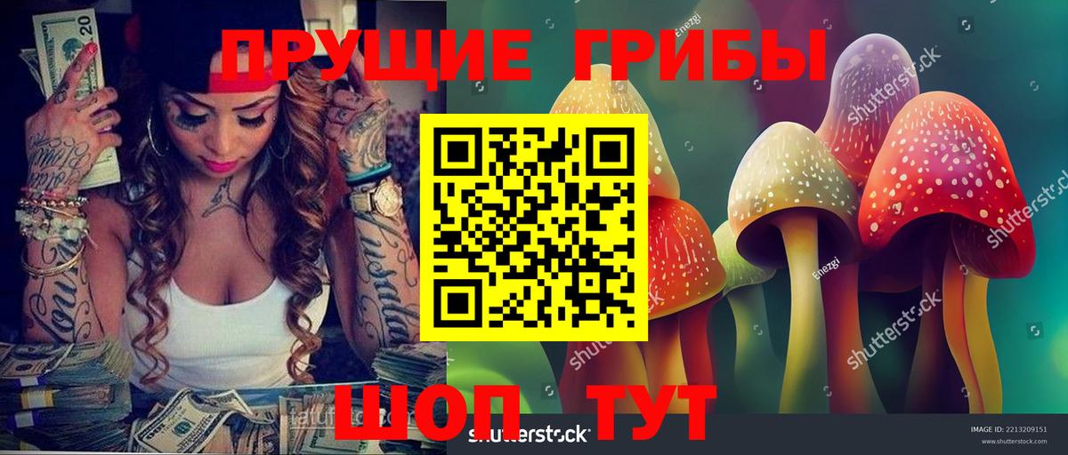 Ленинск-Кузнецкий  Псилоцибиновые грибы Psilocybe  Вход с VPN 