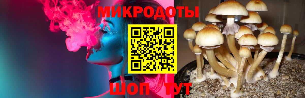 Псилоцибиновые грибы мицелий Ленинск-Кузнецкий